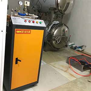 電加熱蒸汽發生器